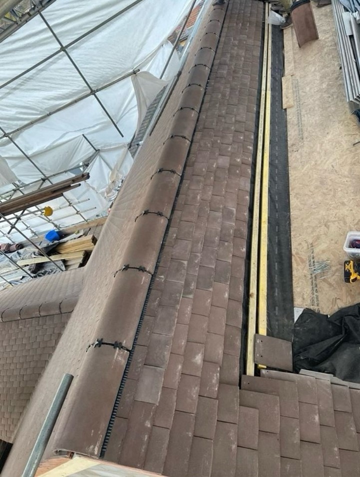 Roof of the year 4