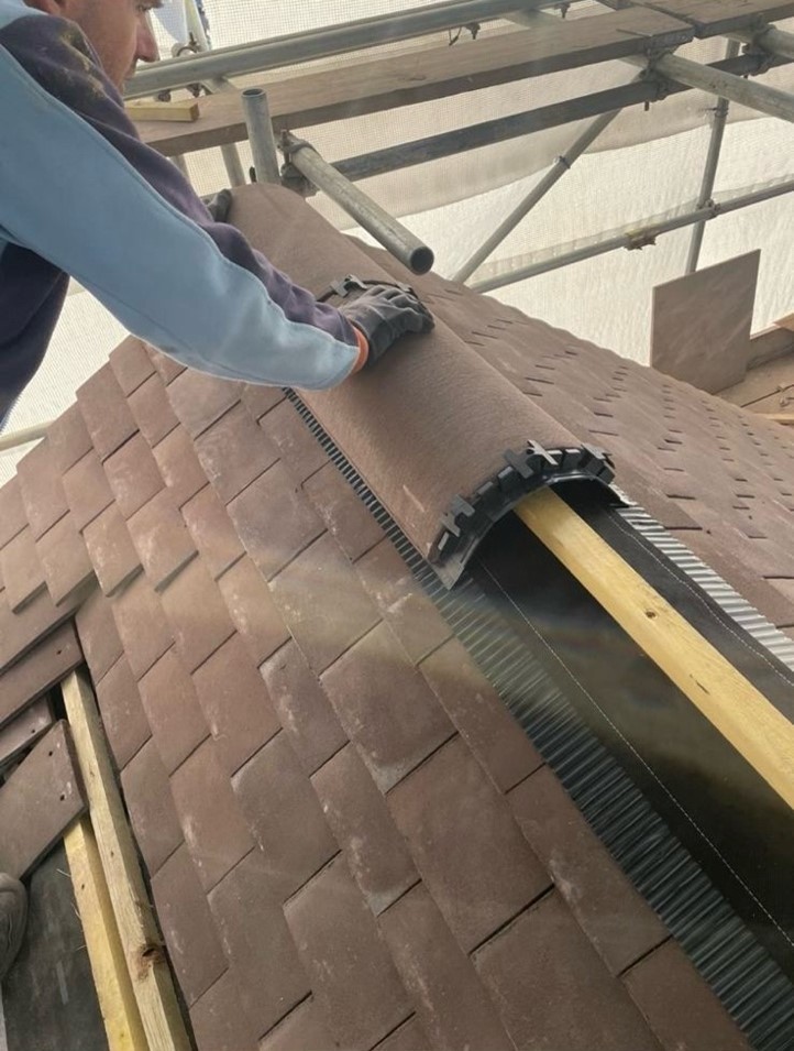 Roof of the year 5